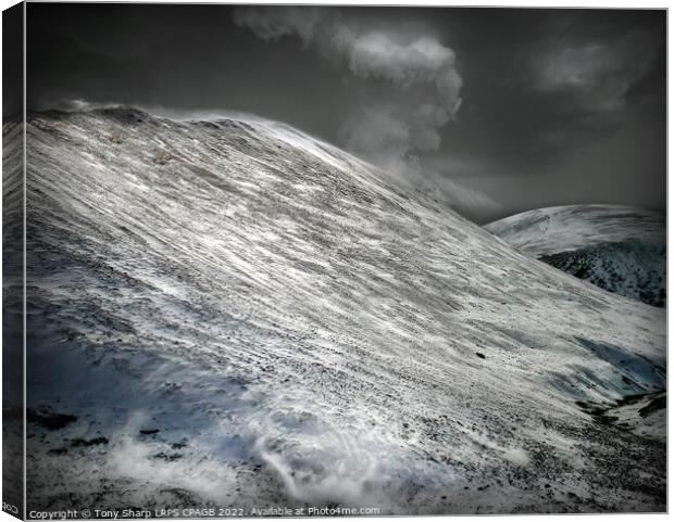LAKELAND FELLS IN THE SNOW Canvas Print by Tony Sharp LRPS CPAGB