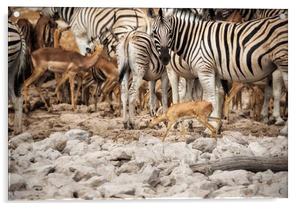 It's Hard to Get a Drink When You're the Smallest Critter at the Acrylic by Belinda Greb