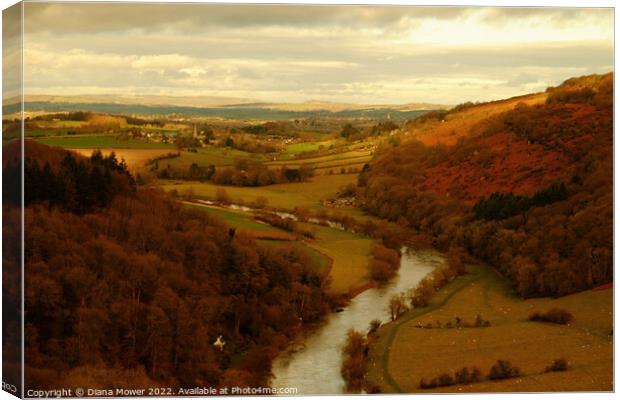 The river Wye from the rock Canvas Print by Diana Mower
