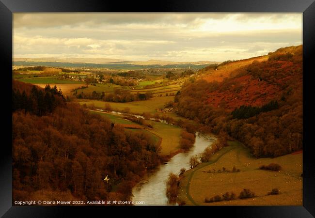 The river Wye from the rock Framed Print by Diana Mower