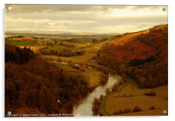 The river Wye from the rock Acrylic by Diana Mower