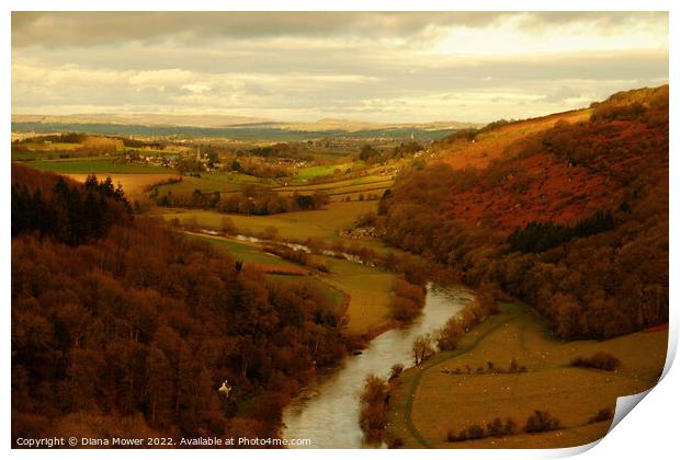 The river Wye from the rock Print by Diana Mower