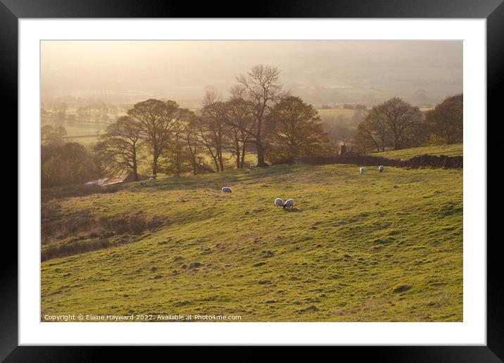 Autumn at Upper Hulme in the Roaches Framed Mounted Print by Elaine Hayward