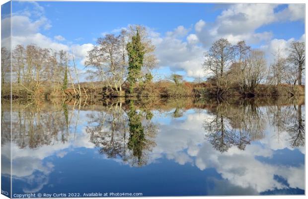 River Dart Reflections Canvas Print by Roy Curtis