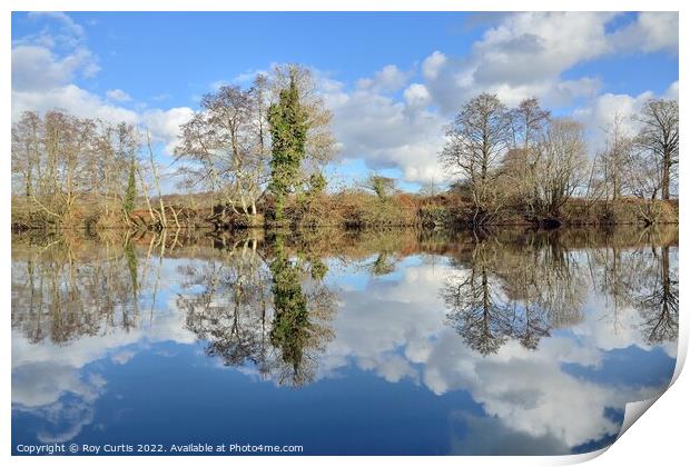 River Dart Reflections Print by Roy Curtis