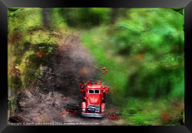 Little Red Truck Framed Print by Randi Grace Nilsberg
