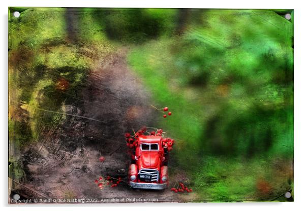Little Red Truck Acrylic by Randi Grace Nilsberg