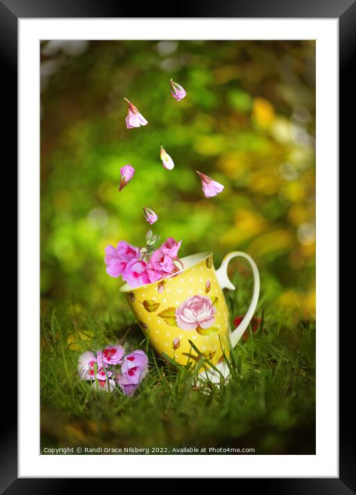 Flower Cup Framed Mounted Print by Randi Grace Nilsberg