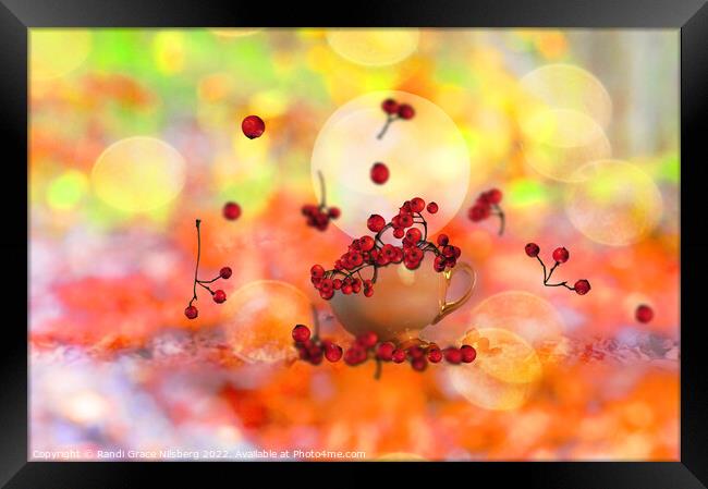 Rowanberries with Colorful Background Framed Print by Randi Grace Nilsberg