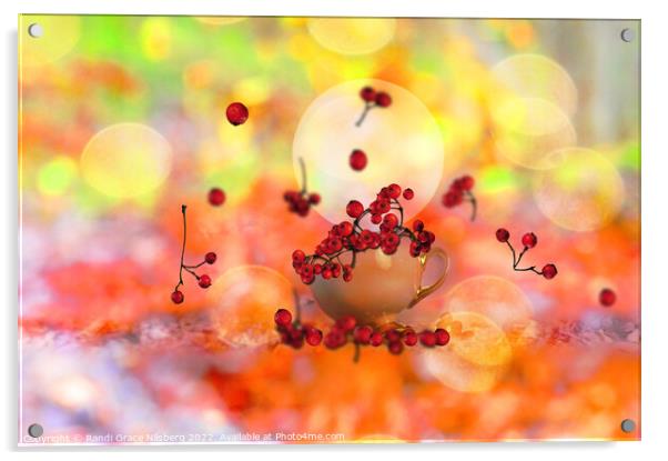 Rowanberries with Colorful Background Acrylic by Randi Grace Nilsberg