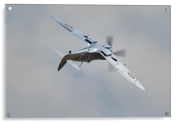 Spitfire Mk IX MK356 Acrylic by J Biggadike
