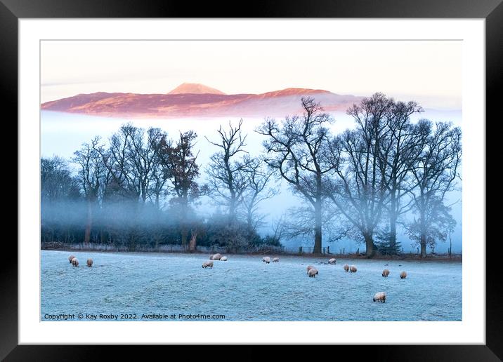 Ben Lomond winter sunrise Framed Mounted Print by Kay Roxby