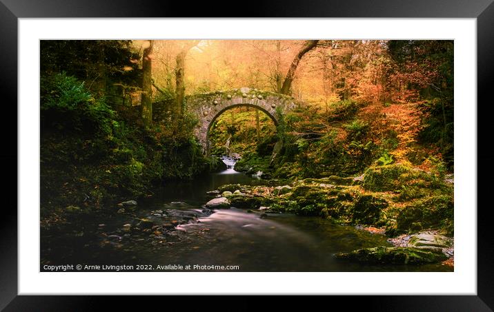 Foleys bridge Tollymore Framed Mounted Print by Arnie Livingston