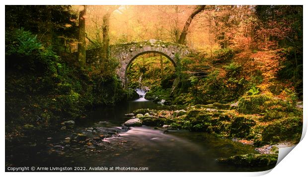 Foleys bridge Tollymore Print by Arnie Livingston