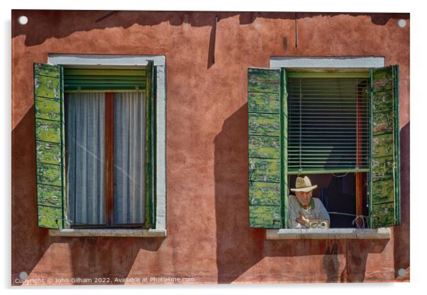 Window on the World Acrylic by John Gilham