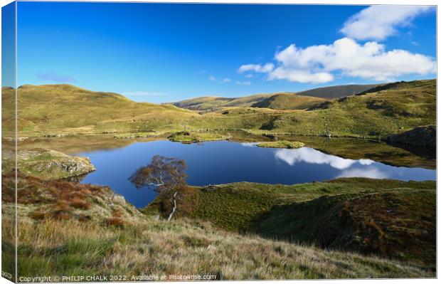 Angle tarn in the lake district  664 Canvas Print by PHILIP CHALK