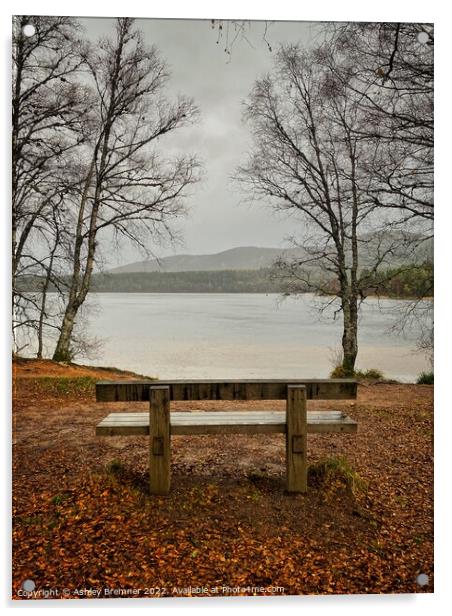 Loch Morlich in Autumn Acrylic by Ashley Bremner