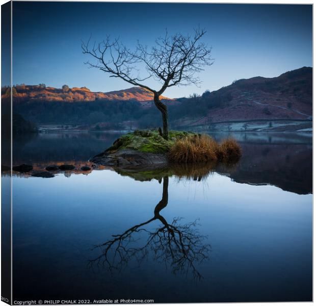 Lone tree on Rydal water 666 Canvas Print by PHILIP CHALK