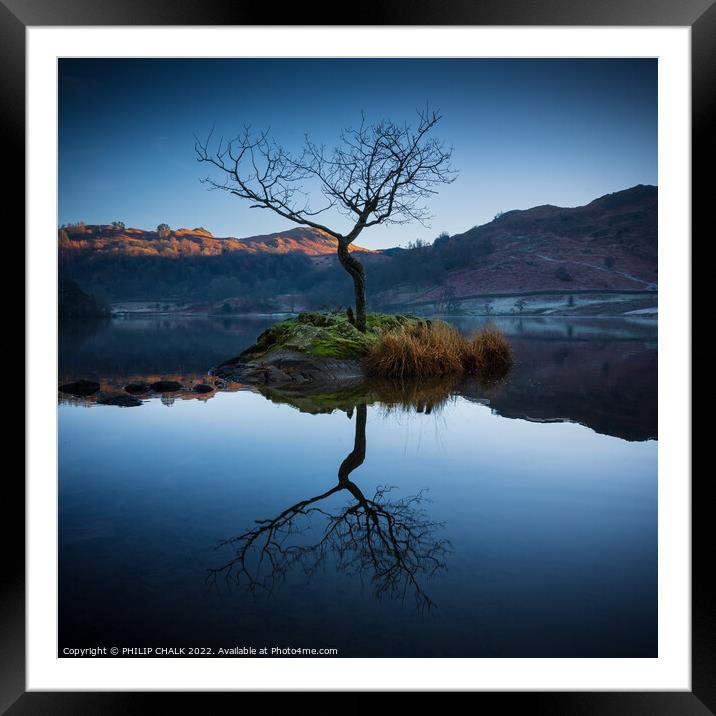 Lone tree on Rydal water 666 Framed Mounted Print by PHILIP CHALK