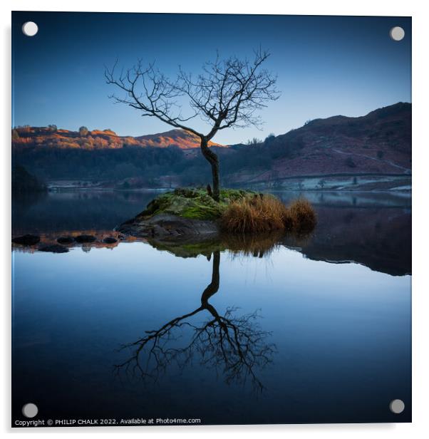 Lone tree on Rydal water 666 Acrylic by PHILIP CHALK