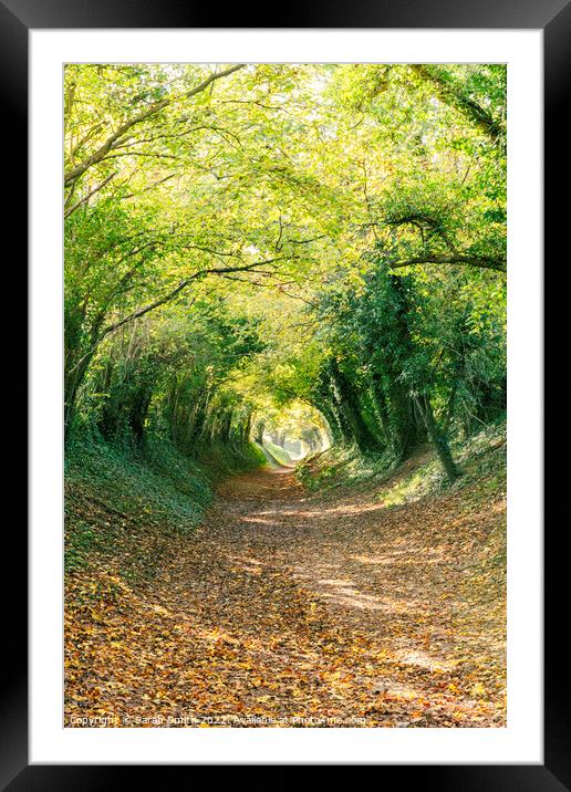 Halnaker Tree Tunnel Framed Mounted Print by Sarah Smith
