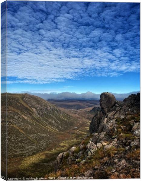 A View From Ben Avon Canvas Print by Ashley Bremner