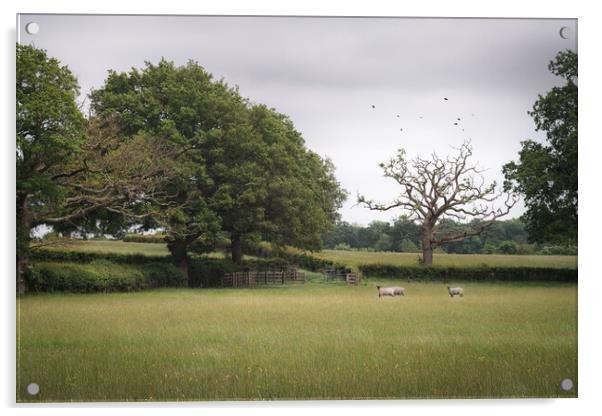 Sussex Landscape Acrylic by Mark Jones