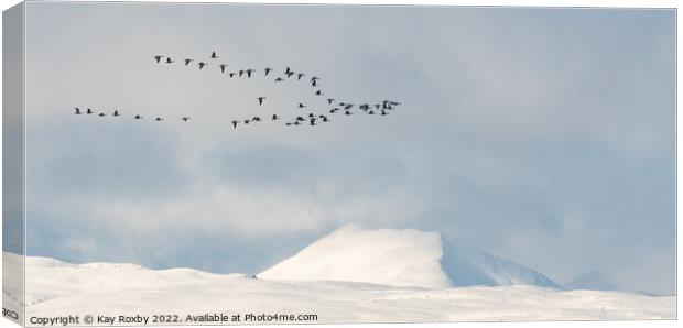 Greylag geese passing snow covered Ben Lomond - Scotland Canvas Print by Kay Roxby