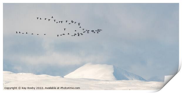 Greylag geese passing snow covered Ben Lomond - Scotland Print by Kay Roxby