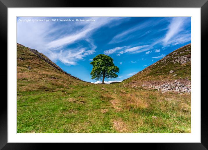 Sycamore Gap Framed Mounted Print by bryan hynd