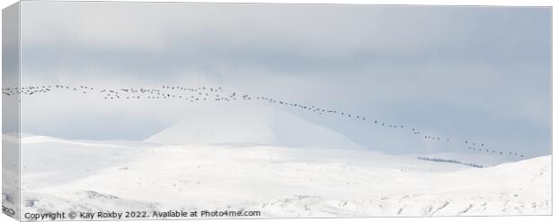 Greylag geese passing Ben Lomond in winter - Scotl Canvas Print by Kay Roxby