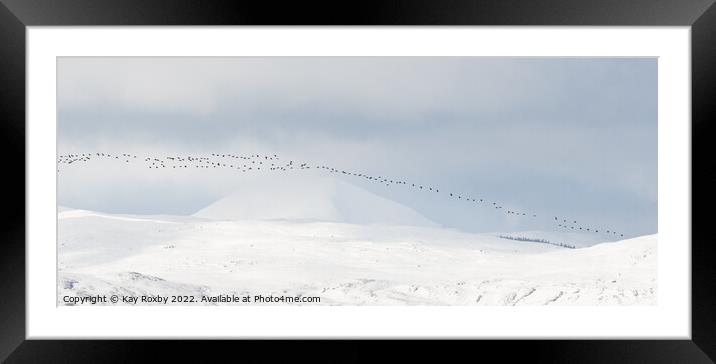 Greylag geese passing Ben Lomond in winter - Scotl Framed Mounted Print by Kay Roxby