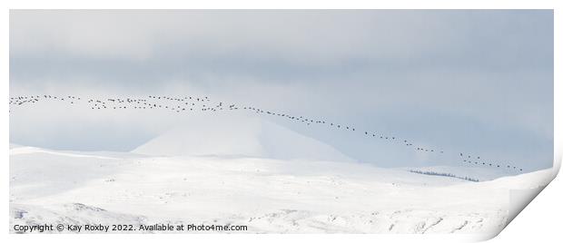 Greylag geese passing Ben Lomond in winter - Scotl Print by Kay Roxby