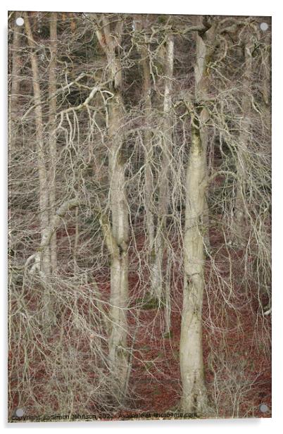Winter woodland Acrylic by Simon Johnson