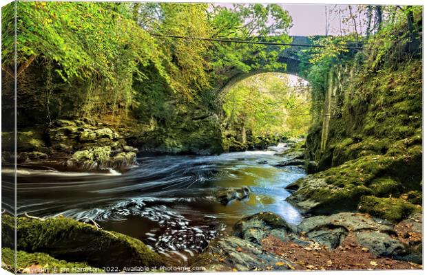 Roe Valley country park,Limavady,Northern Ireland Canvas Print by jim Hamilton