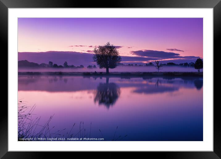 Purple sunrise in Bushy Park Framed Mounted Print by Milton Cogheil