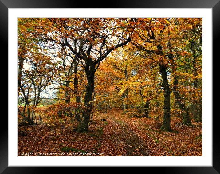 Autumn Colours Framed Mounted Print by Simon Marlow