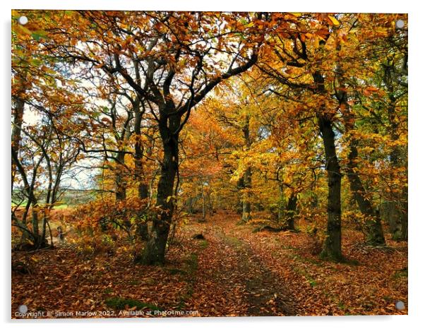 Autumn Colours Acrylic by Simon Marlow