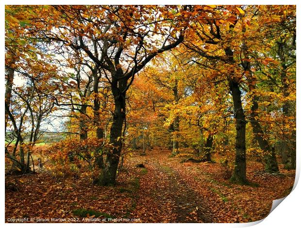 Autumn Colours Print by Simon Marlow