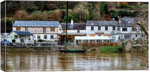 Symonds Yat East foot ferry Canvas Print by Diana Mower