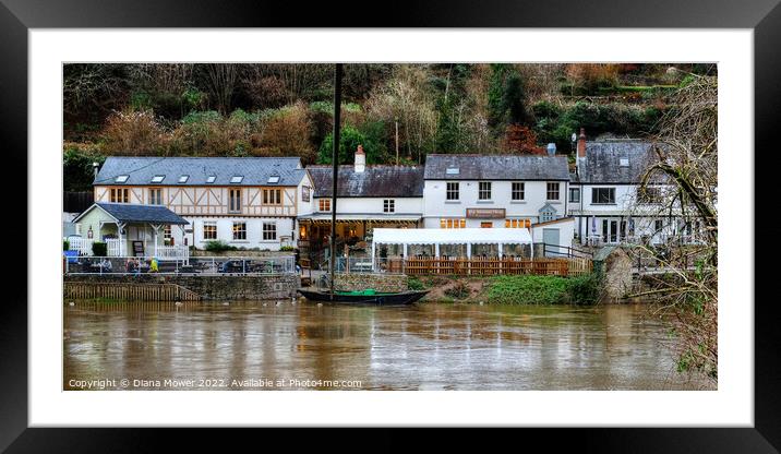 Symonds Yat East foot ferry Framed Mounted Print by Diana Mower