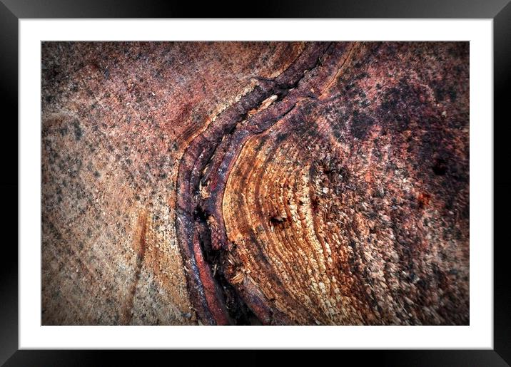 Abstract texture Framed Mounted Print by Jon Fixter