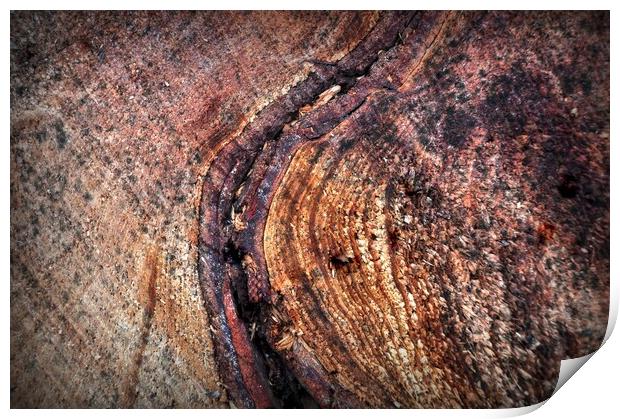 Abstract texture Print by Jon Fixter