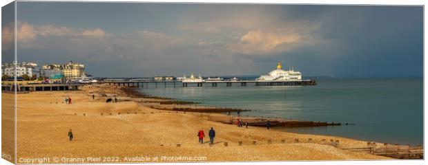 Eastbourne Beach and Pier Canvas Print by Margaret Ryan