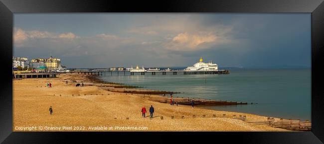 Eastbourne Beach and Pier Framed Print by Margaret Ryan
