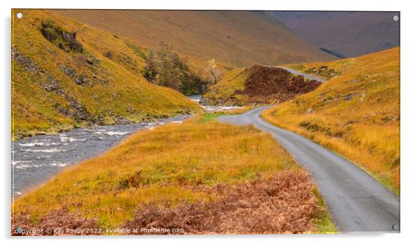 Glen Eive Scotland Acrylic by Kay Roxby