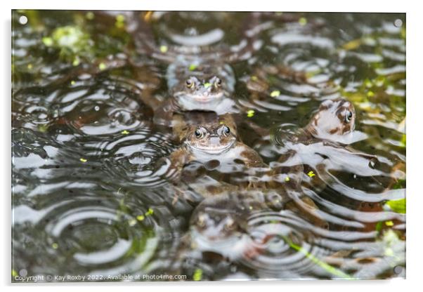 Common frogs in the rain Acrylic by Kay Roxby