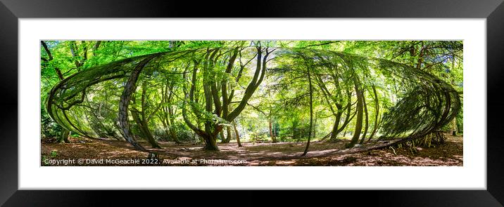 Woodland Bubble, Rufford Abbey. Framed Mounted Print by David McGeachie