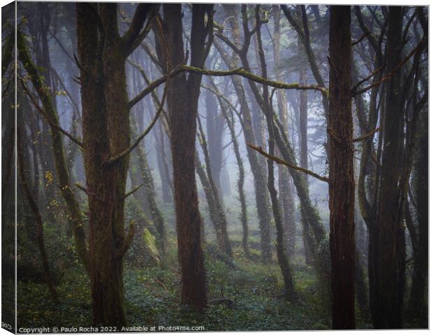 Fog in the forest Canvas Print by Paulo Rocha