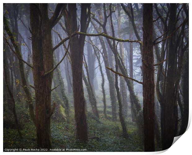 Fog in the forest Print by Paulo Rocha
